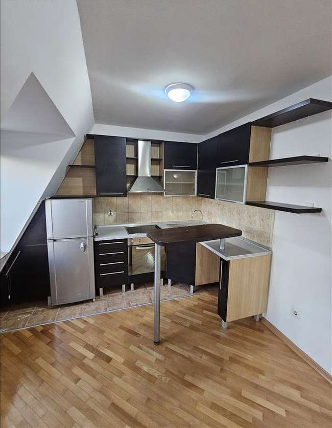 Apartment in Kisela Voda - 2