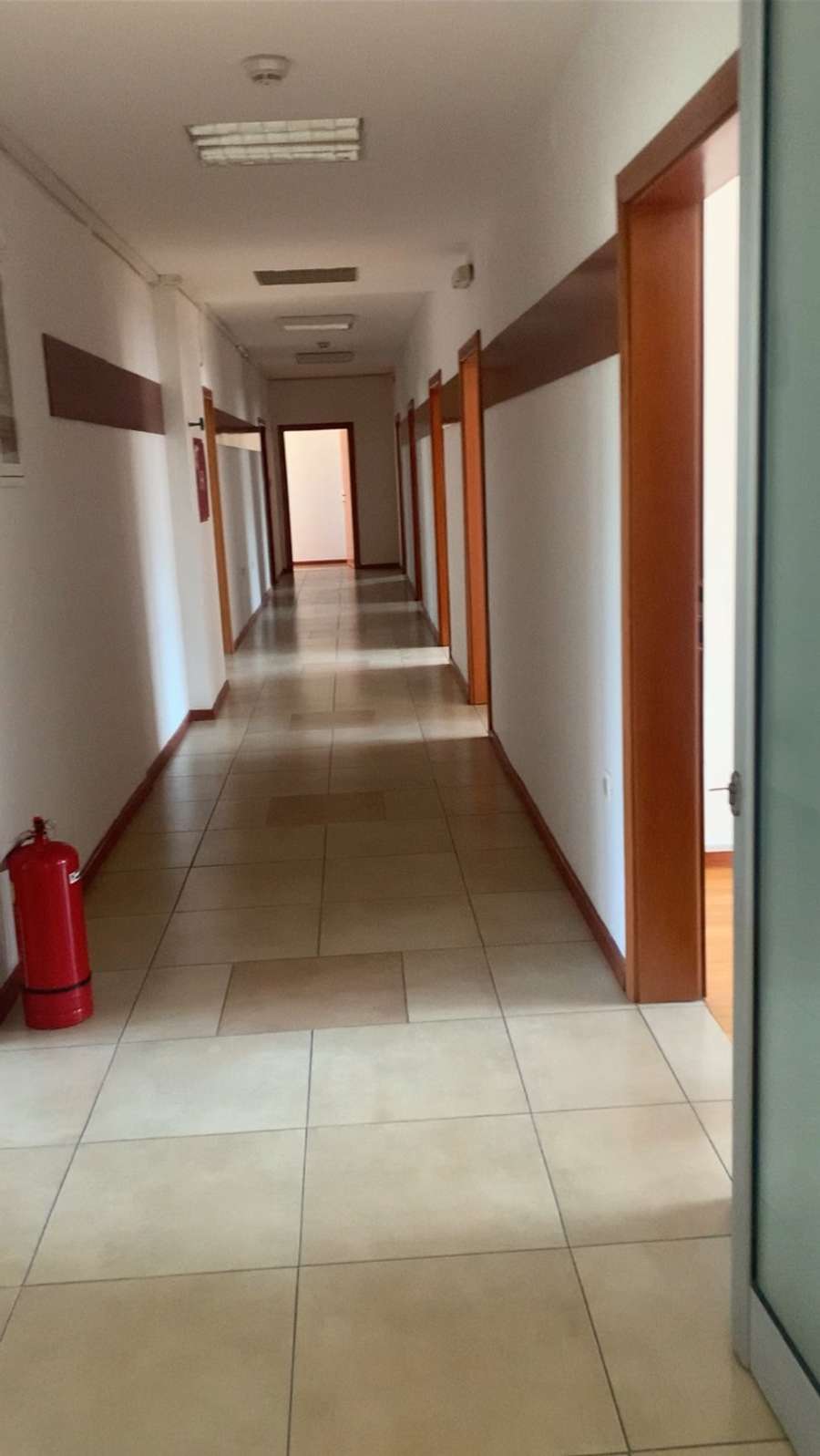 REPRESENTATIVE OFFICE SPACE IN THE CENTER - 1