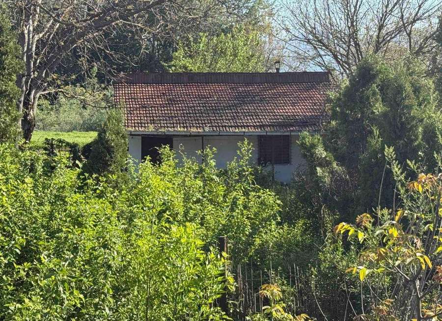 House with auxiliary building in Idrizovo - 1