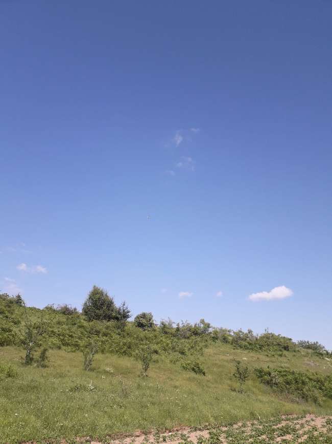 Land in Krushevo 23.784 sqm - 3