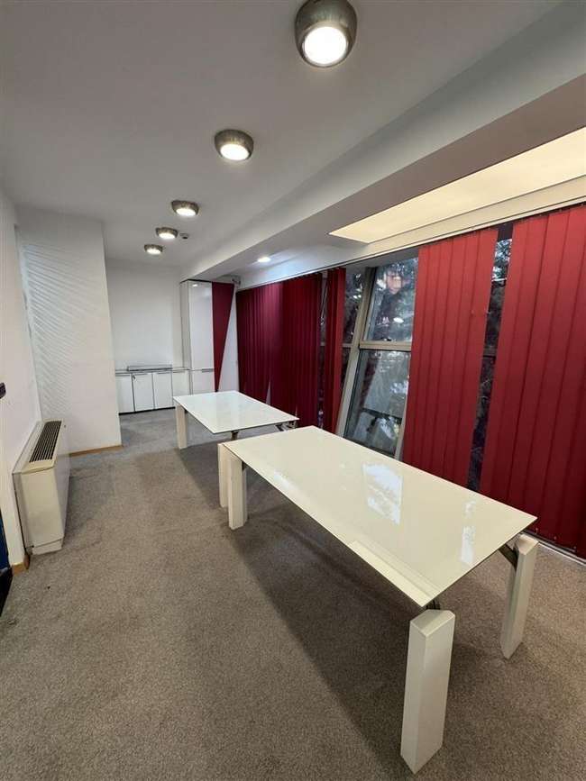 Репрезентативен деловен простор во Центар - 2