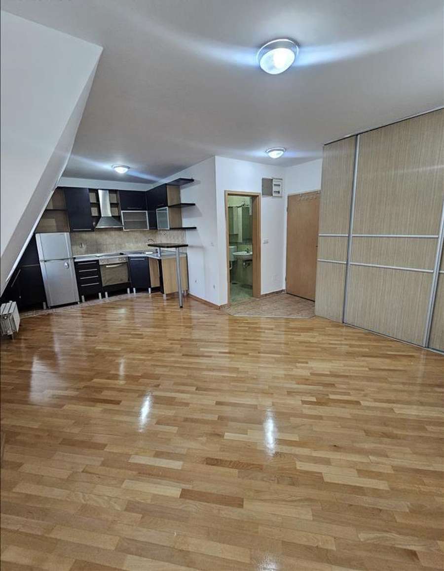 Apartment in Kisela Voda - 1