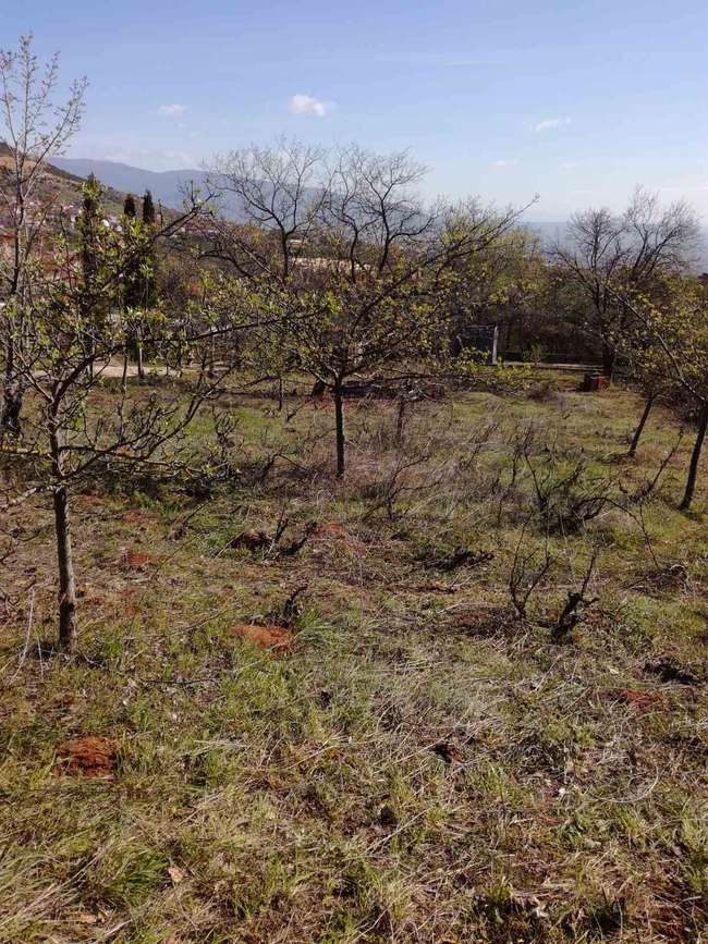 Sopishte 1135m2 plot - 2