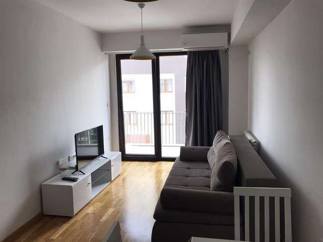 Two-bedroom apartment for rent in Taftalidze - 2