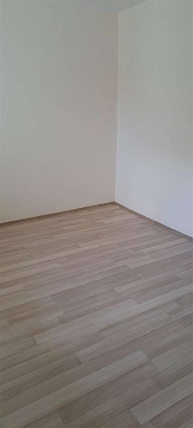 House with land in Pripor - 2