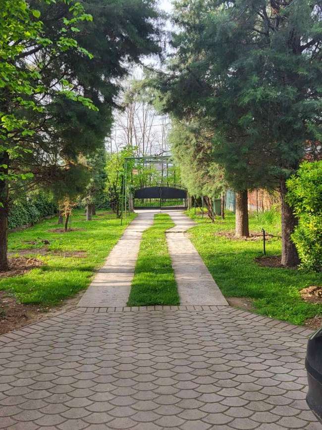 House with a Beautiful Yard in Shuto Orizari - 3