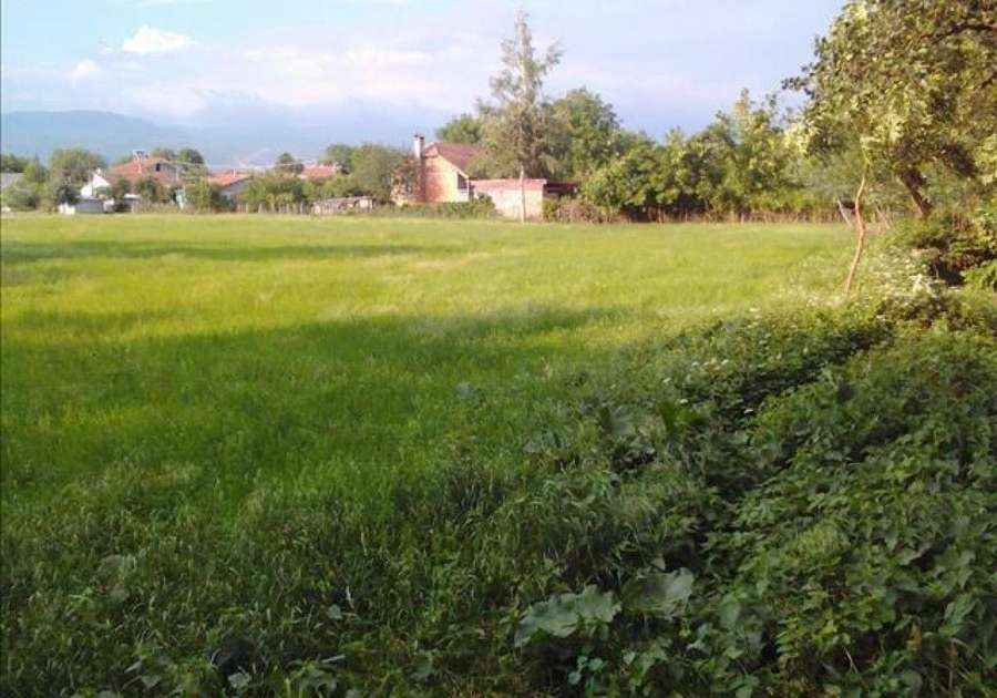Land in Volkovo - 1