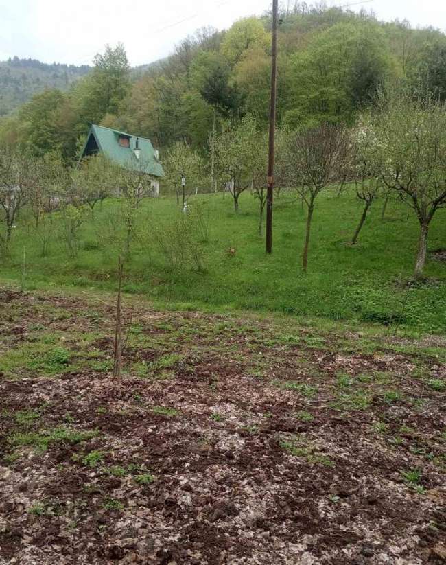shtëpi pushimi me një oborr të madh - 2