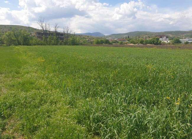 Toka në Novo Selo - 3
