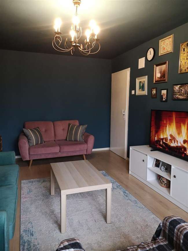 Top Offer image