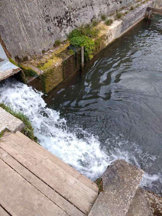 Fish Farm in Priskupshina Village - 3
