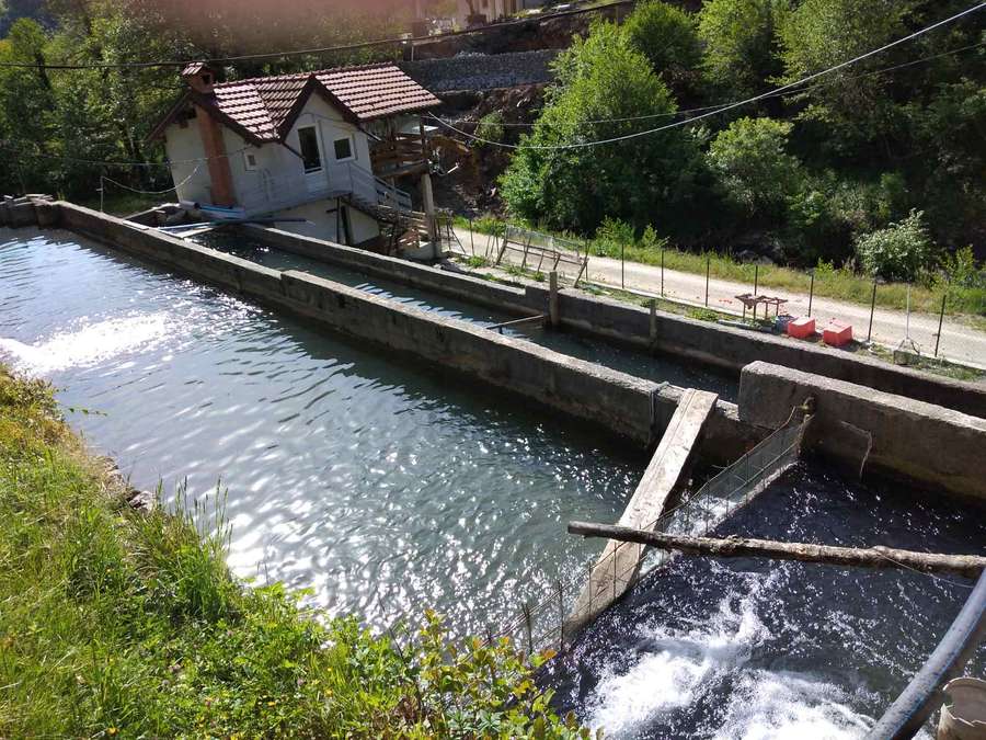 Fish Farm in Priskupshina Village - 1