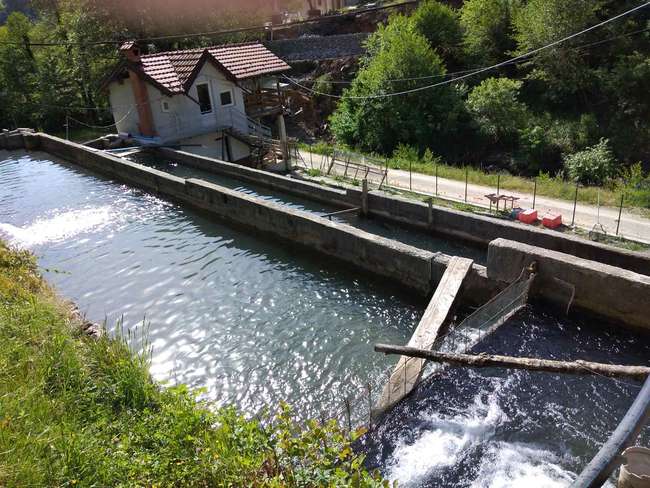 Peshkare në fshatin Priskupshina image