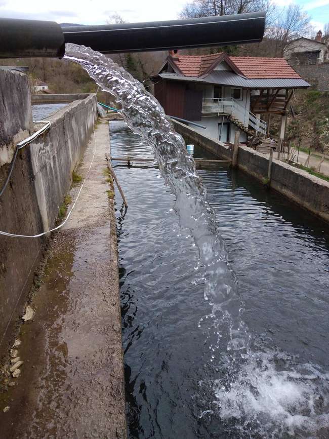 Fish Farm in Priskupshina Village - 2