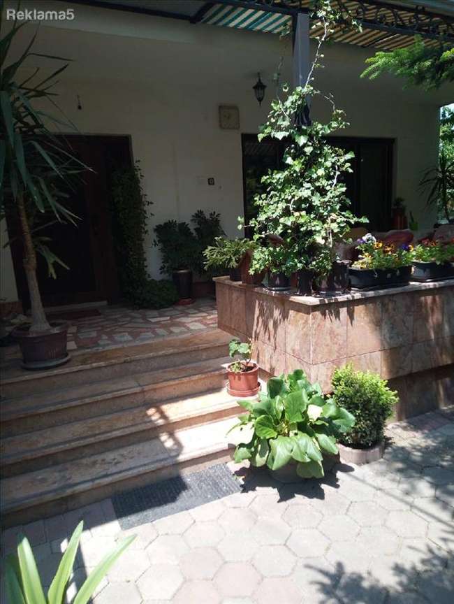 House for Rent in Bardovci - 2
