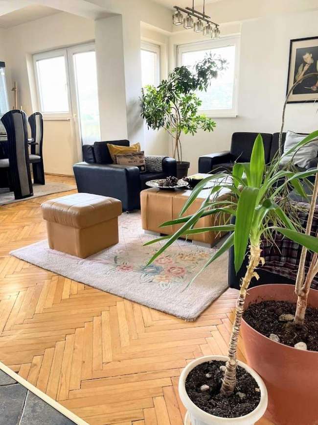 Apartament i ndriçuar me pamje nga Pelisteri - 2